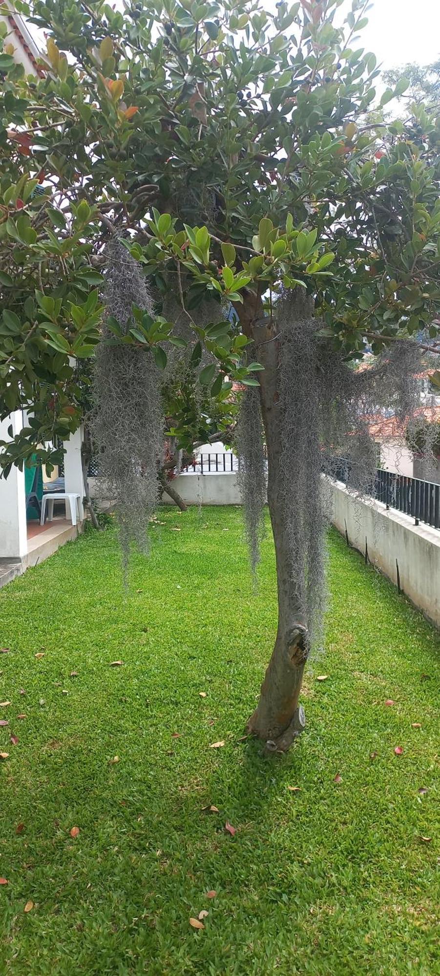 Villa Cosy Nook Funchal  Zewnętrze zdjęcie