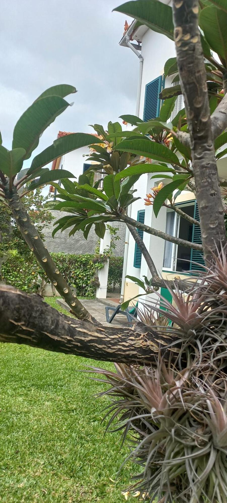 Villa Cosy Nook Funchal  Zewnętrze zdjęcie