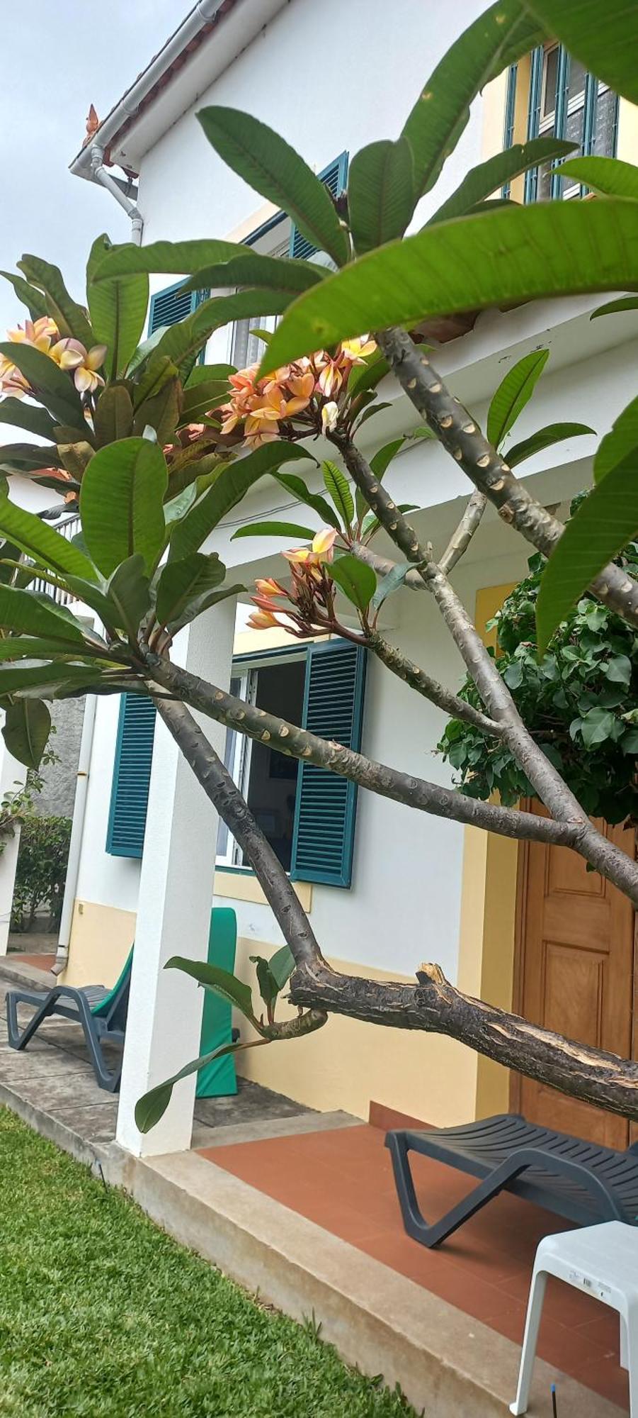 Villa Cosy Nook Funchal  Zewnętrze zdjęcie